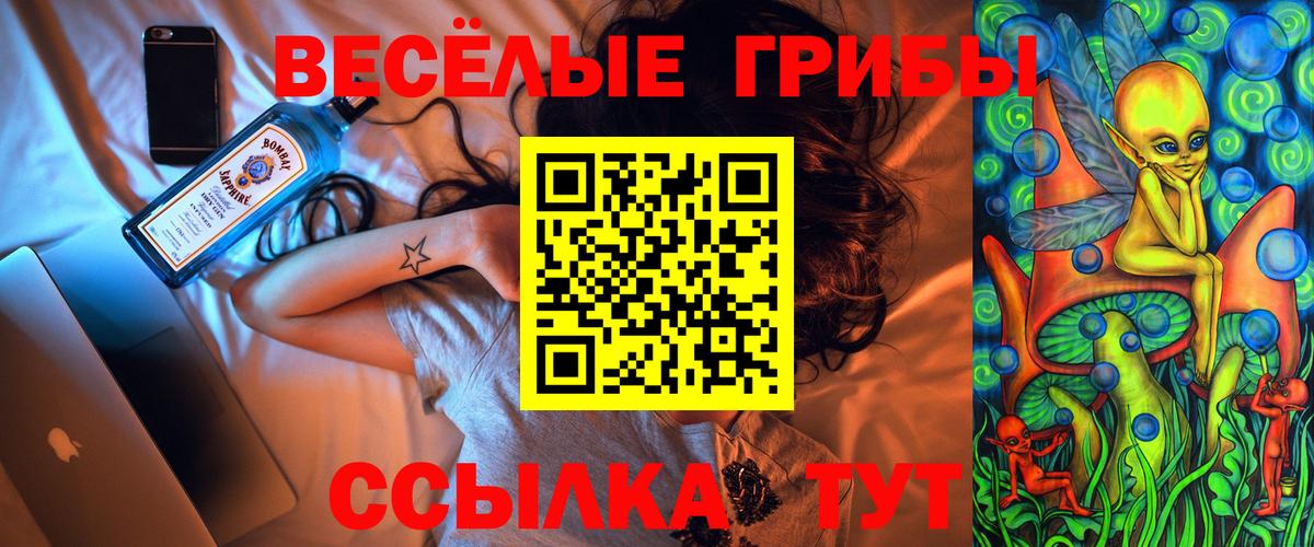 Галлюциногенные грибы Psilocybe Туапсе