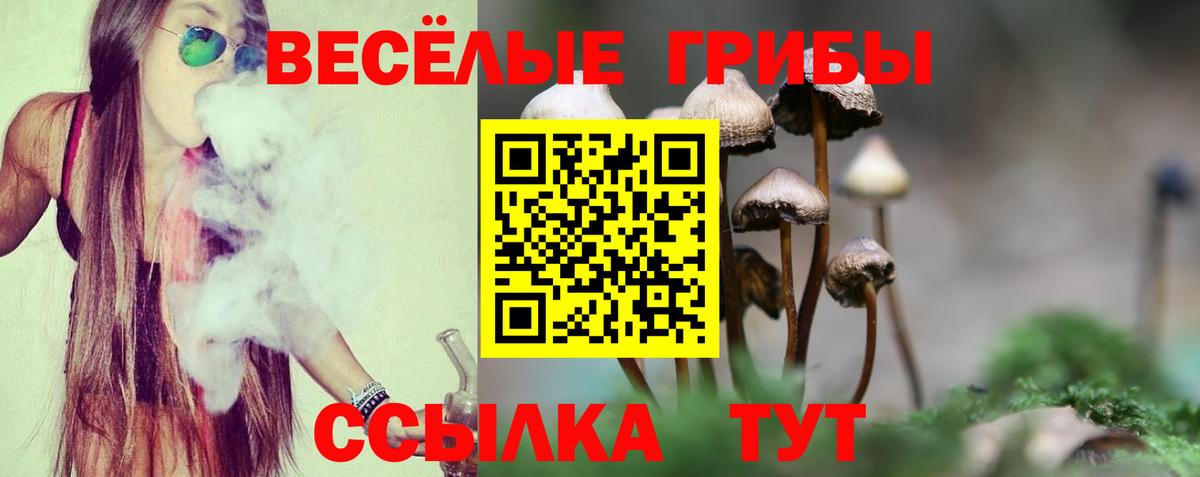 Псилоцибиновые грибы Magic Shrooms  Псилоцибиновые грибы мицелий  Туапсе  где можно купить наркотик  Вход с VPN 